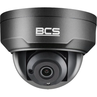 BCS Point BCS-P-DIP22FSR3-Ai1-G 2Mpx IR 30m IP-netwerk dome camera