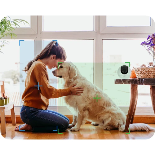 WiFi-camera met dieren detectie - Pet Camera EZVIZ C6 2K